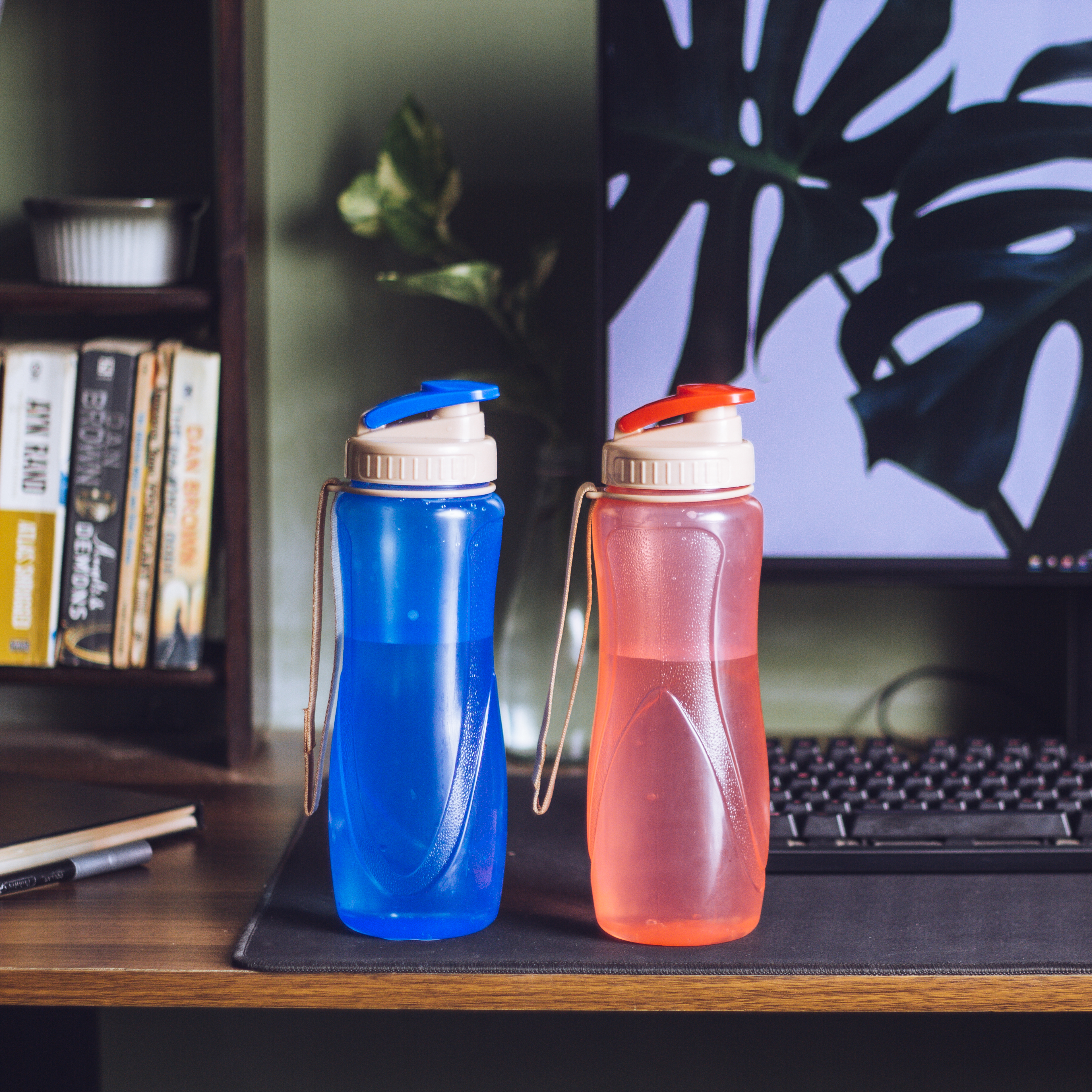 Appollo Spring Water Bottles (850 ml)