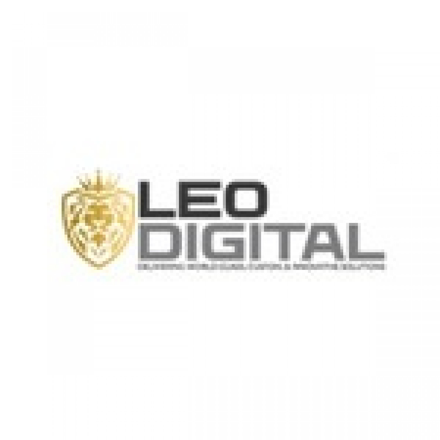 Leo Digital Agency
