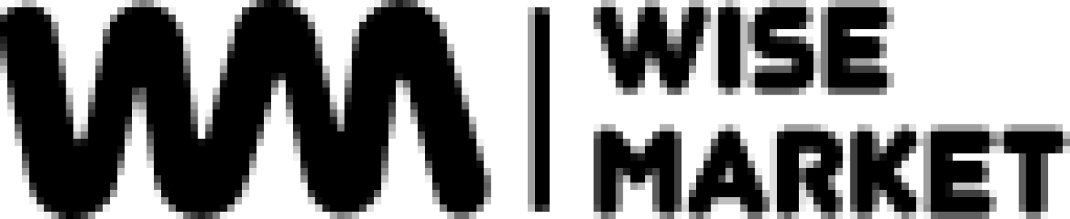 Wise Market Pakistan