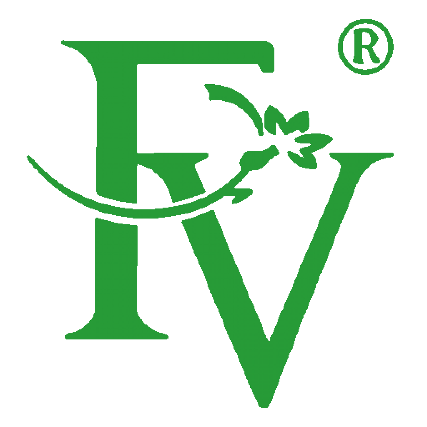 FV Web Solutions