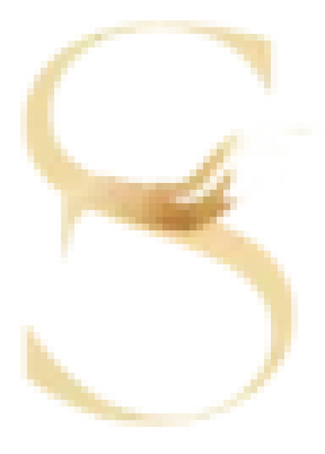 shahzeena.com