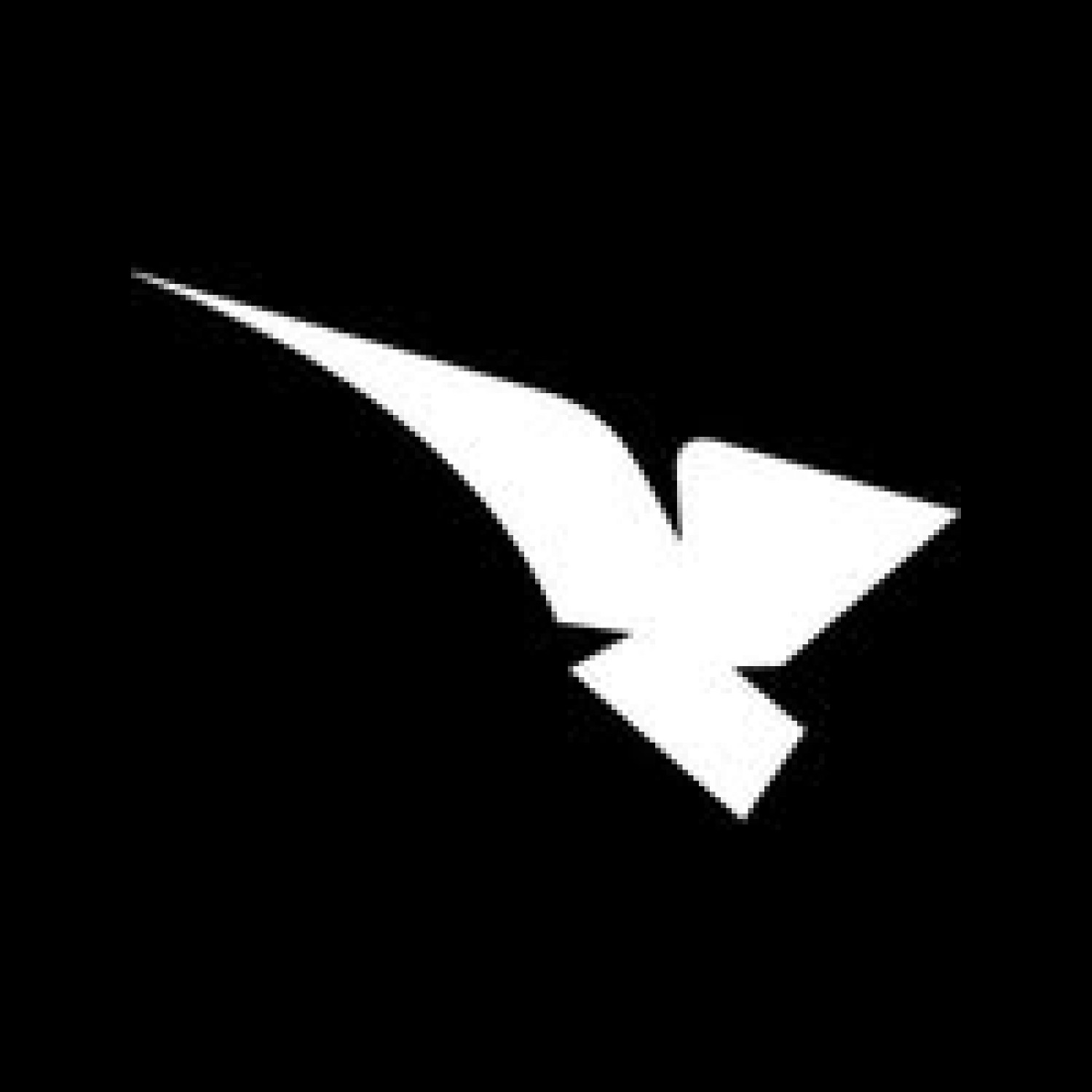 Aguila Activewear